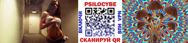 mega рабочий сайт  наркотики  Вилюйск  Псилоцибиновые грибы Psilocybine cubensis 